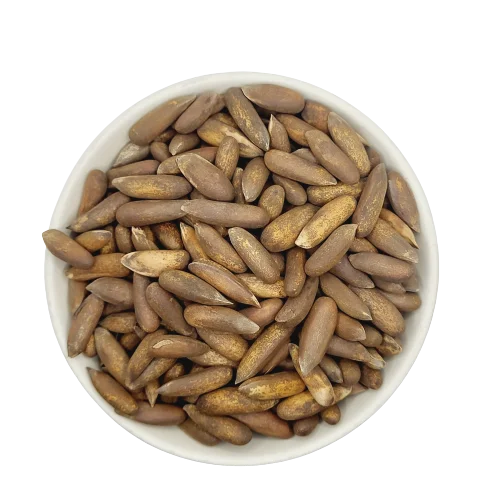 Geröstete Pinienkerne (Jalghoza) aus Afghanistan Pistabadam