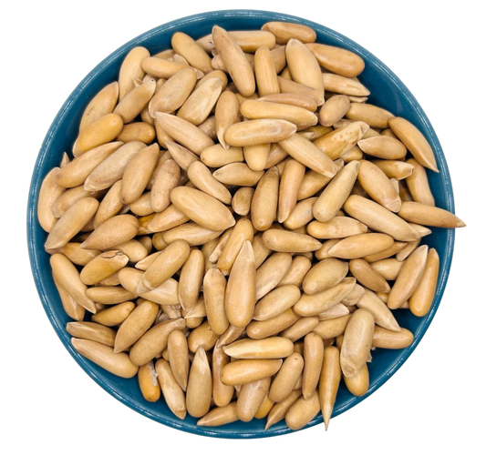 Pinienkerne (Jalghoza Kham) aus Afghanistan Pistabadam