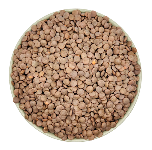 Marmorierte Linse (Adas) Pistabadam