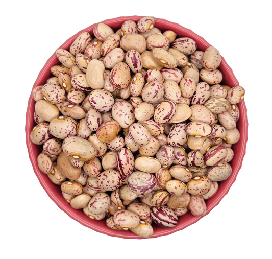 Pintobohnen (Loobia chiti) Pistabadam